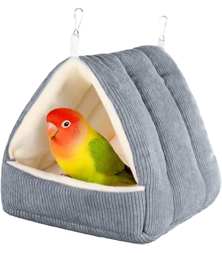 Amazon.com : MULTIPET International 843037 Migrator Pheasant for